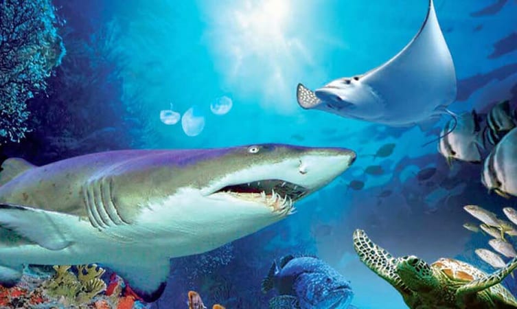 Aquaria KLCC