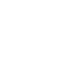 footer logo 4